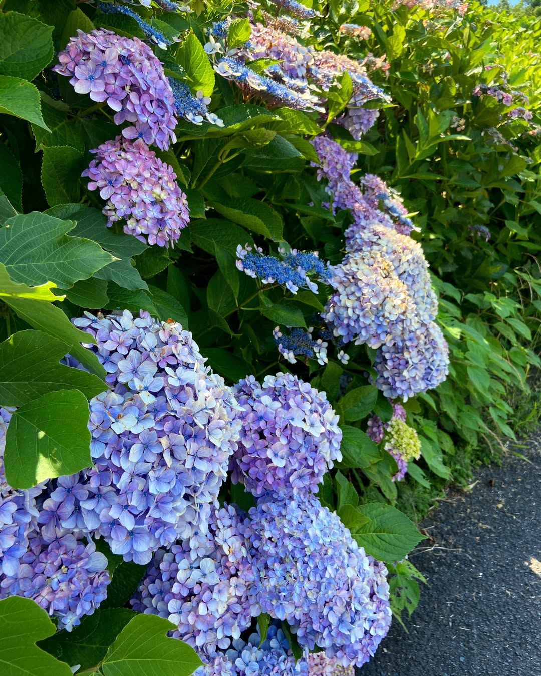 ふたみ潮風ふれあい公園