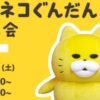 ノラネコぐんだん撮影会