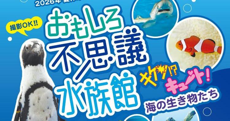おもしろ不思議水族館 キケン！？キュート！海の生き物たち