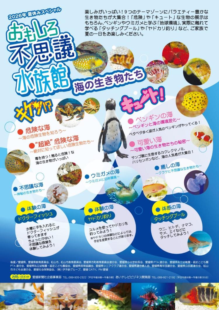 おもしろ不思議水族館 キケン!?キュート!海の生き物たち