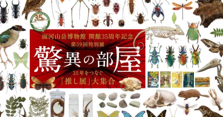 驚異の部屋～35年をつなぐ『推し展』大集合～