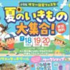 パル・サマー住宅フェスタ夏のいきもの大集合