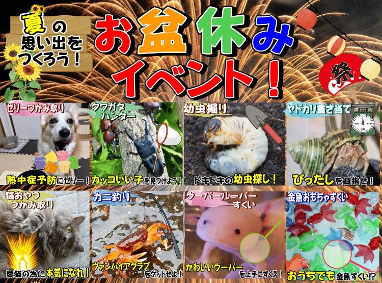 ひごペットフレンドリーpresents お盆休みイベント!