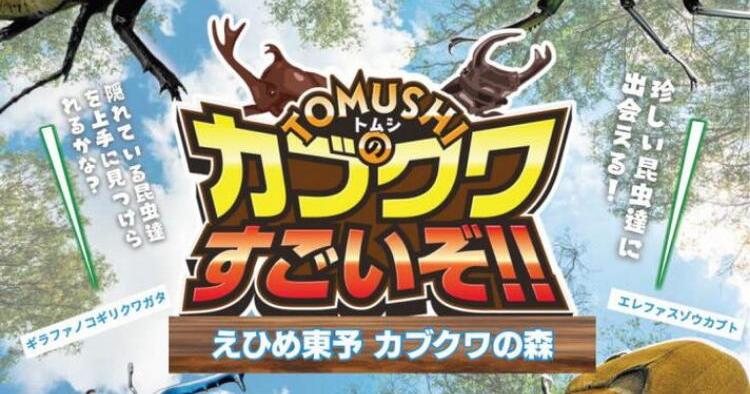 TOMUSHIのカブクワすごいぞ!!えひめ東予カブクワの森