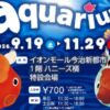 光で彩る金魚のアクアリウム