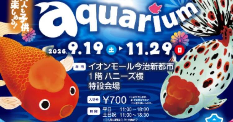 光で彩る金魚のアクアリウム