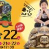 ふれあい動物パーク