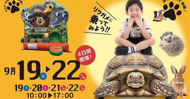 ふれあい動物パーク