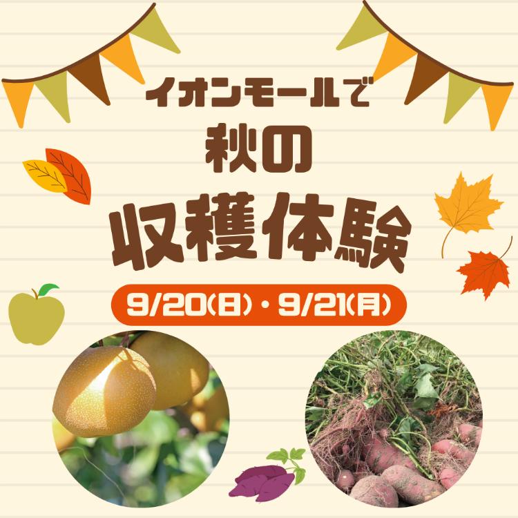イオンモールで秋の味覚収穫体験