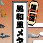 第2回 風和里メダカ祭り