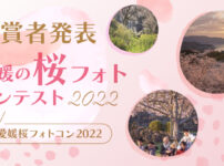 桜フォトコン2022アイキャッチ
