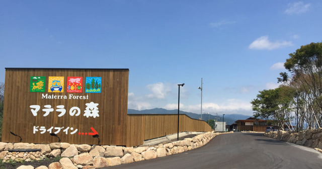 マテラの森