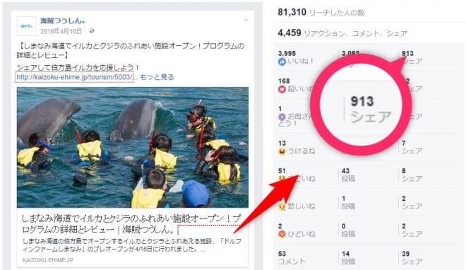 イルカシェア数