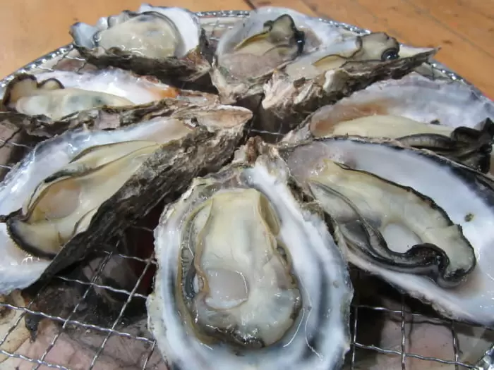 牡蠣の食べ放題 今治 海鮮 しまなみ海道で七輪焼きの牡蠣と海鮮bbq 海賊つうしん