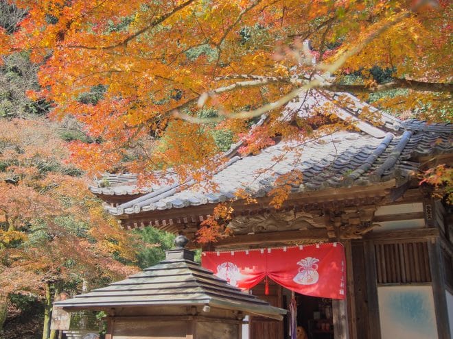 西山興隆寺の紅葉1