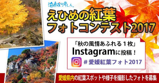 海賊つうしん。紅葉フォトコンのアイキャッチ