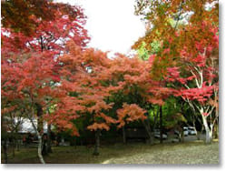 稲荷山公園-大洲