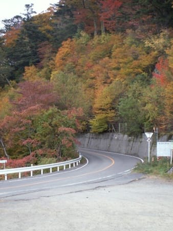石鎚スカイライン_愛媛県紅葉情報2016