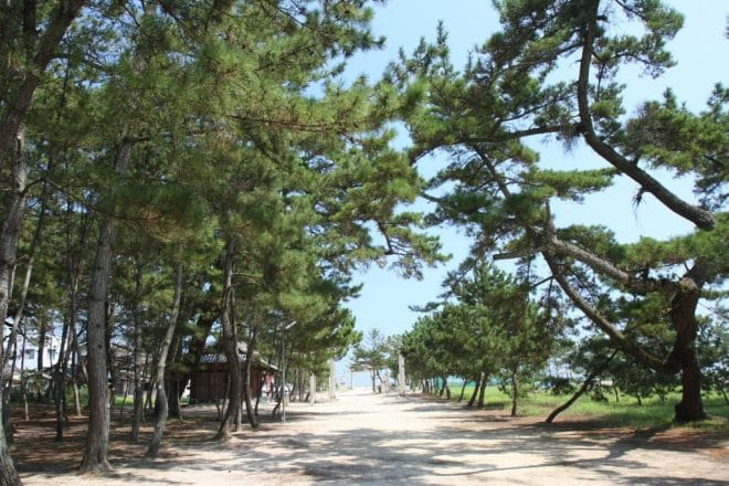 志島ヶ原