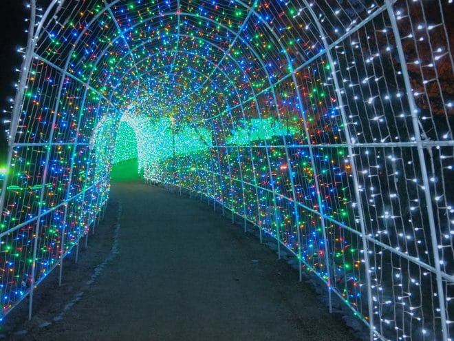 タオル美術館イルミネーション光のトンネル3