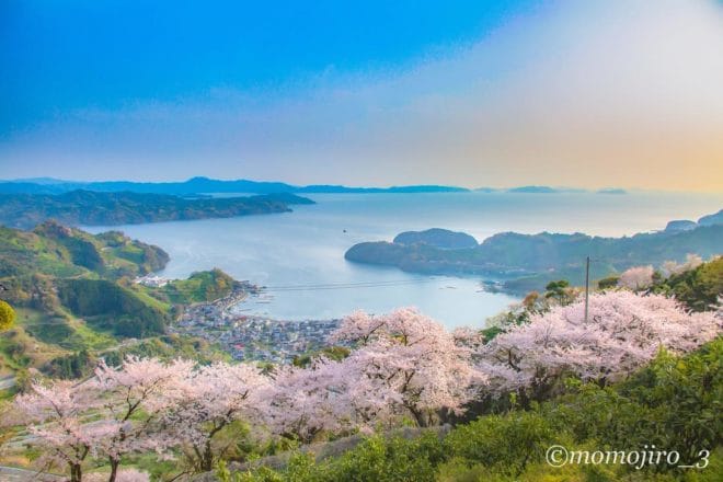 最優秀桜フォト賞2018