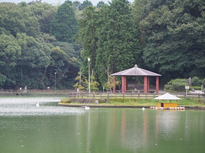 滝の宮公園1