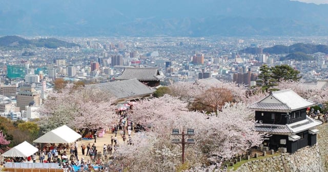 桜2017アイキャッチ