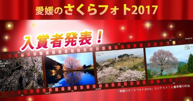 愛媛さくらフォト2017コンテスト入賞発表アイキャッチ