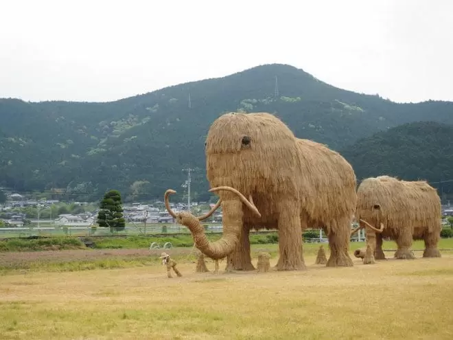 わらマンモス 西予市 観光 田んぼに巨大な親子が出現 17年春にリニューアル 海賊つうしん