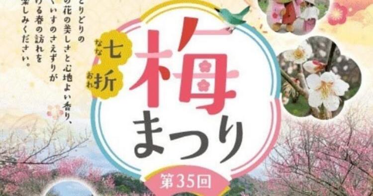 第35回 七折梅まつり