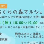 森であそぼう いちくらの森マルシェ vol.3