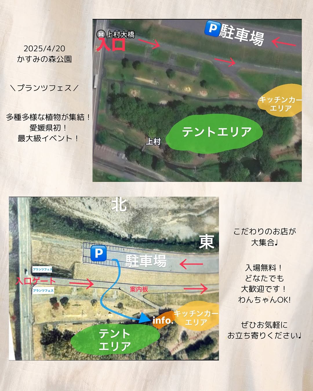 PLANTS FES