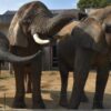 とべ動物園
