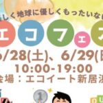 エコフェス