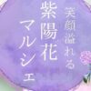 笑顔溢れる紫陽花マルシェ