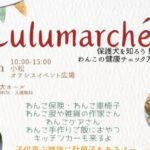 おさんぽLulumarché