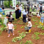 キミはカレー担当大臣！！～カレーの野菜堀り体験～