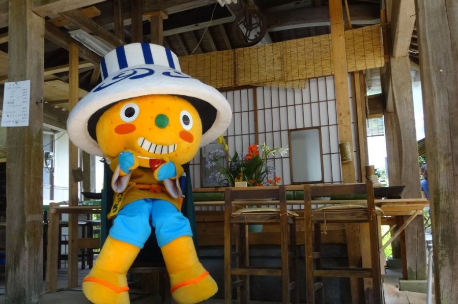 坪内家流しそうめん2025