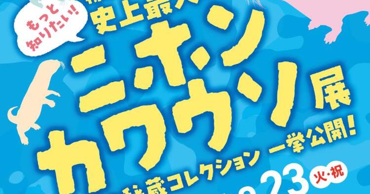 史上最大のニホンカワウソ展