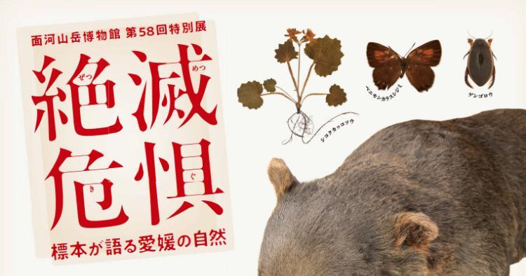 絶滅危惧～標本が語る愛媛の自然～