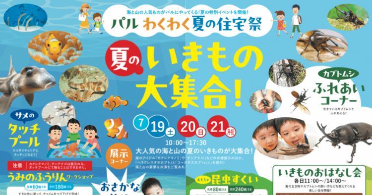 パルわくわく夏の住宅祭！