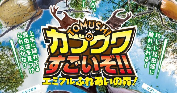 TOMUSHIのカブクワすごいぞ！！エミフルふれあいの森