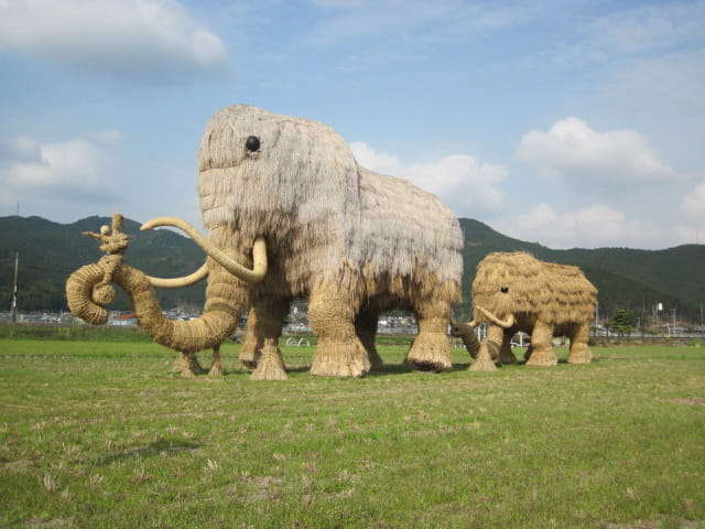 rengemammoth2018
