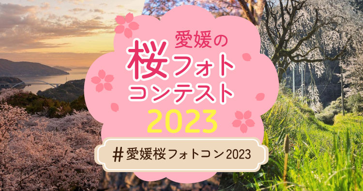 2023年桜フォトコンアイキャッチ