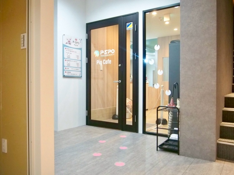 202606pspopigdoor