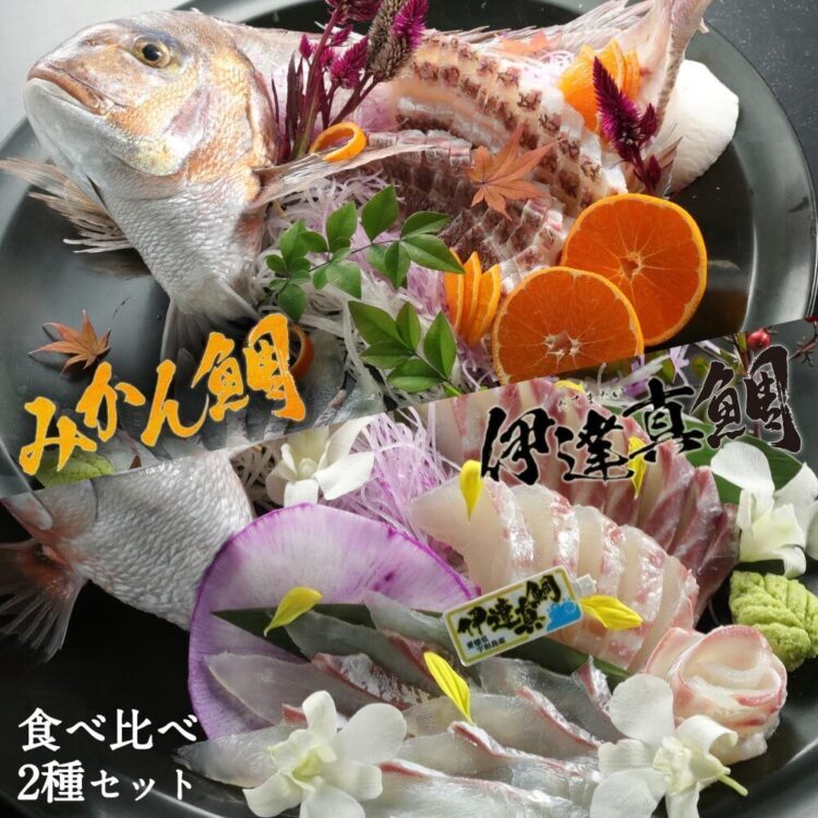 宇和島プロジェクト1