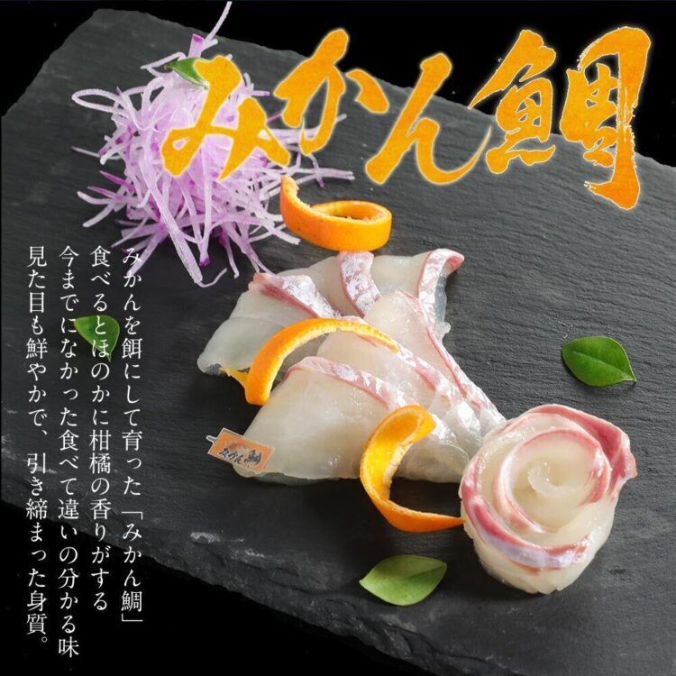宇和島プロジェクト2