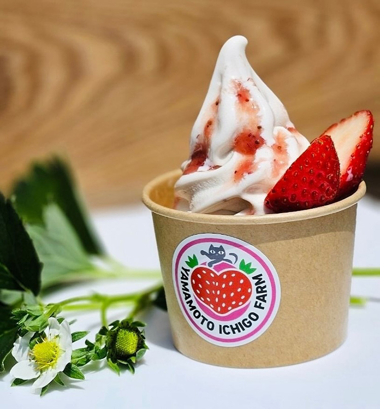 オリジナルのいちごソフト