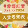 2024紅葉フォトコン結果発表アイキャッチ