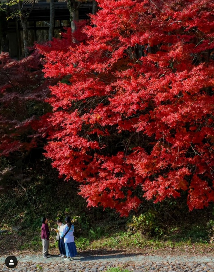 紅葉フォトコン入選hrky_photo